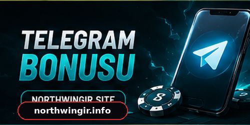 northwin giriş