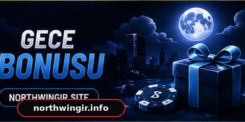 northwin güncel giriş