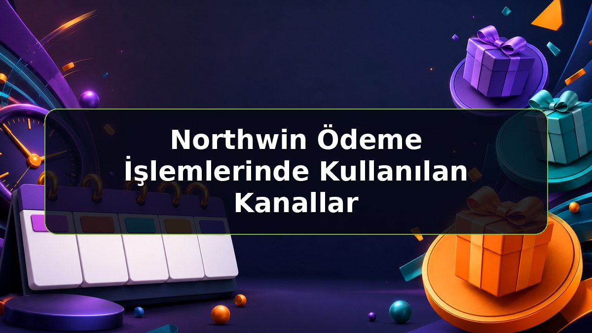 Northwin Ödeme İşlemlerinde Kullanılan Kanallar konulu Northwin bilgilendirme görseli